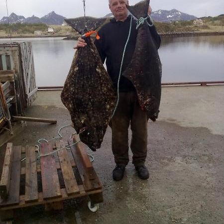 Rooms For Rent Bo (Nordland) Bagian luar foto