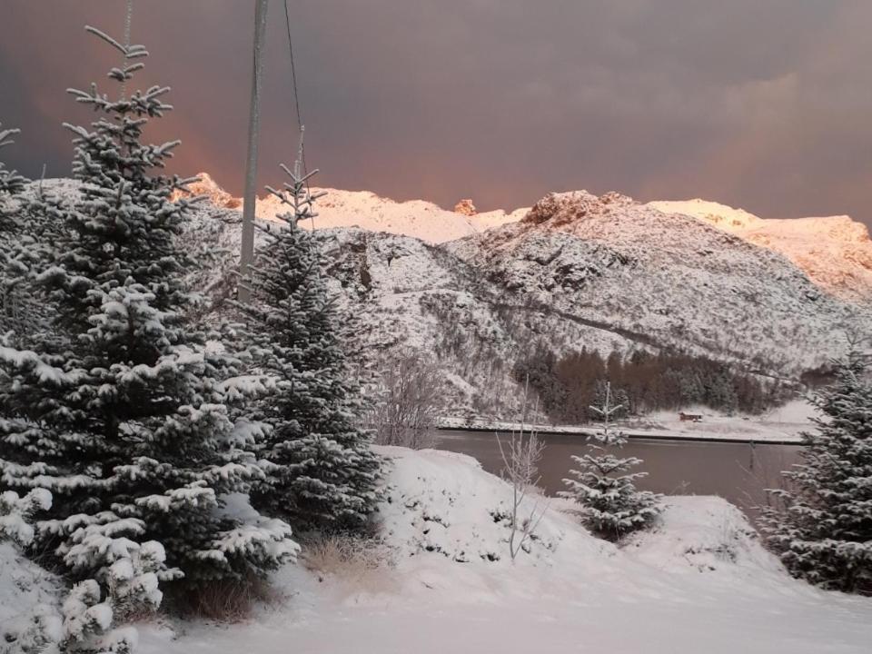 Rooms For Rent Bo (Nordland) Bagian luar foto