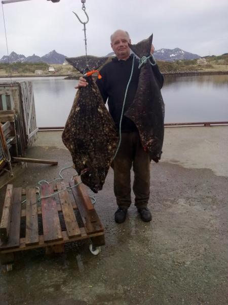 Rooms For Rent Bo (Nordland) Bagian luar foto
